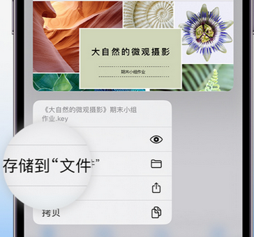 虎门港管委会apple维修中心分享iPhone文件应用中存储和找到下载文件