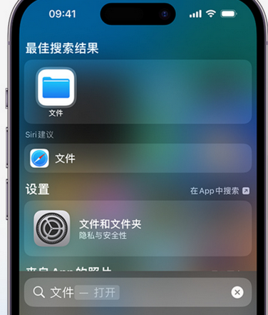 虎门港管委会apple维修中心分享iPhone文件应用中存储和找到下载文件