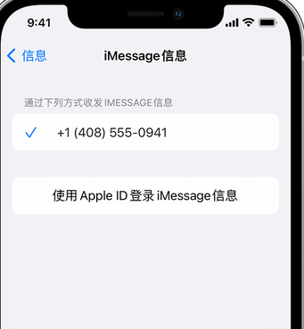 虎门港管委会apple维修iPhone上无法正常发送iMessage信息