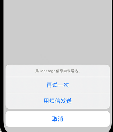 虎门港管委会apple维修iPhone上无法正常发送iMessage信息