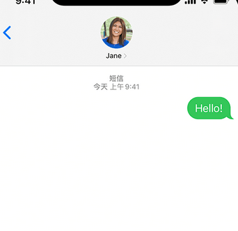 虎门港管委会apple维修iPhone上无法正常发送iMessage信息