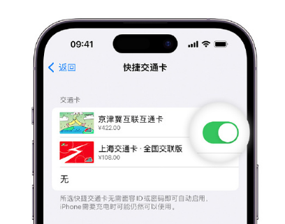 虎门港管委会apple维修点分享iPhone上更换Apple Pay快捷交通卡手绘卡面 