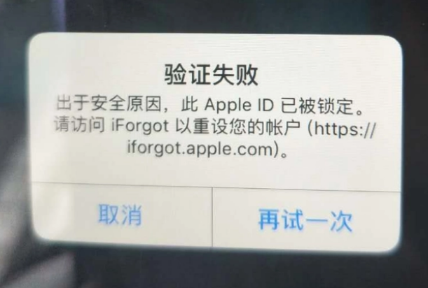 虎门港管委会iPhone维修分享iPhone上正常登录或使用AppleID怎么办 