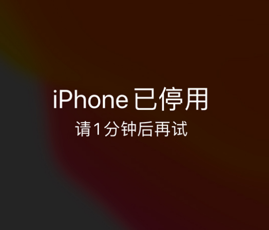 虎门港管委会苹果手机维修分享:iPhone 显示“不可用”或“已停用”怎么办？还能保留数据吗？ 