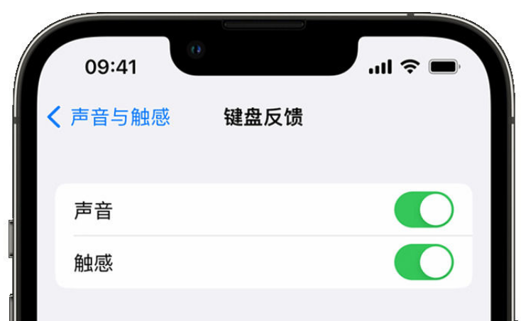 虎门港管委会苹果手机维修分享iPhone 14触感键盘使用方法 