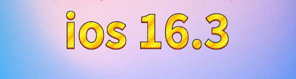 虎门港管委会苹果服务网点分享苹果iOS16.3升级反馈汇总 