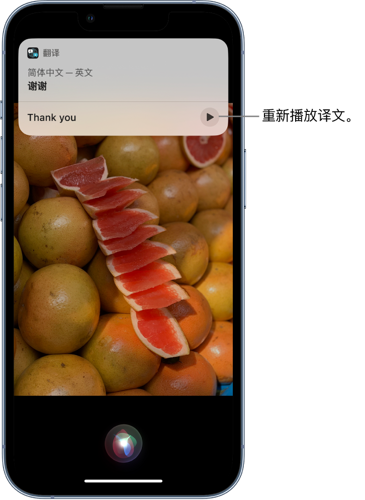 虎门港管委会苹果14维修分享 iPhone 14 机型中使用 Siri：了解 Siri 能帮你做什么 