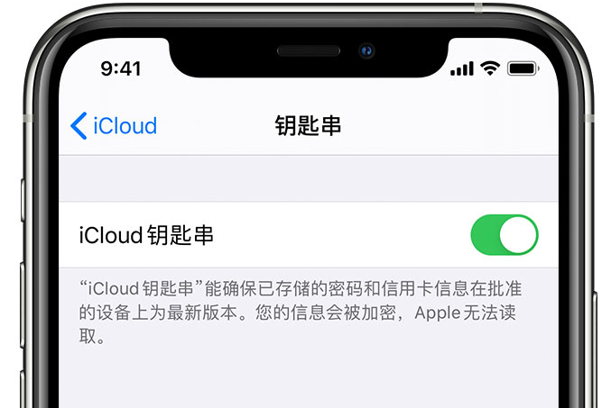 虎门港管委会苹果手机维修分享在 iPhone 上开启 iCloud 钥匙串之后会储存哪些信息 