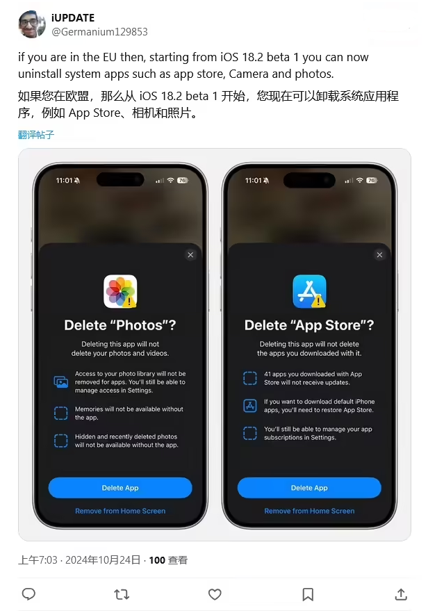 虎门港管委会苹果手机维修分享iOS 18.2 支持删除 App Store 应用商店 