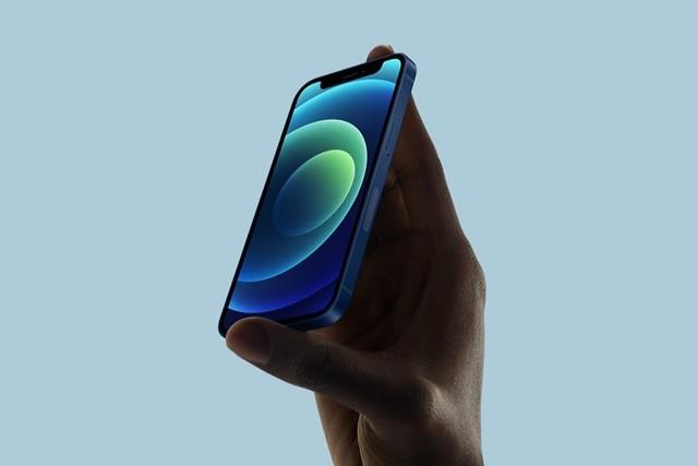 虎门港管委会苹果手机维修分享iPhone 12 mini辐射很大吗 